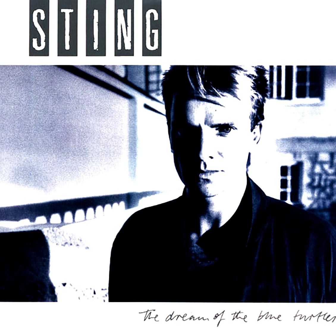 Sting - The Dream Of The Blue Turtles (180g) - Vinyl LP