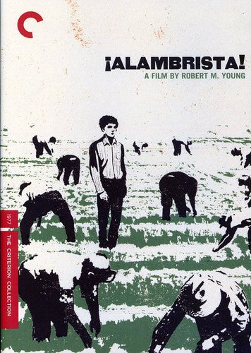 Alambrista/Dvd