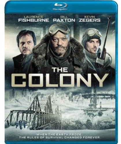 Colony