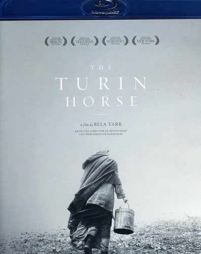 Turin Horse