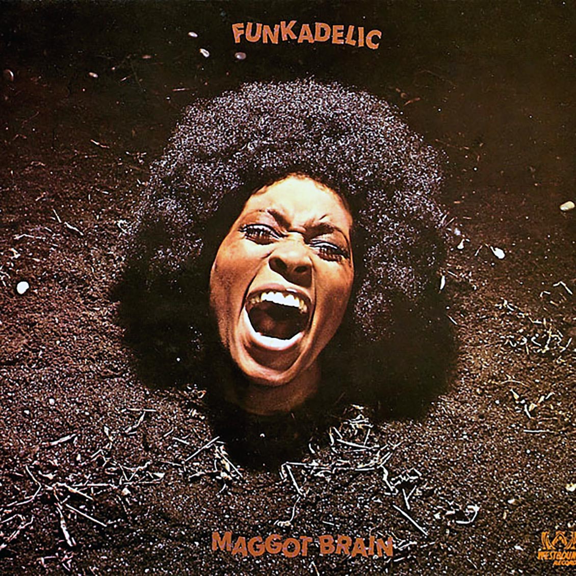 Funkadelic - Maggot Brain - Vinyl LP
