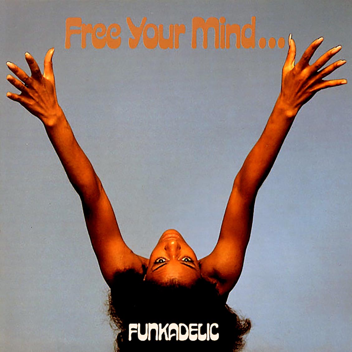 Funkadelic - Free Your Mind And Your Ass Will Follow - Vinyl LP