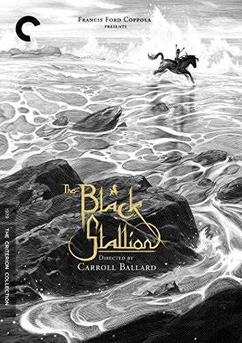 Black Stallion/Dvd