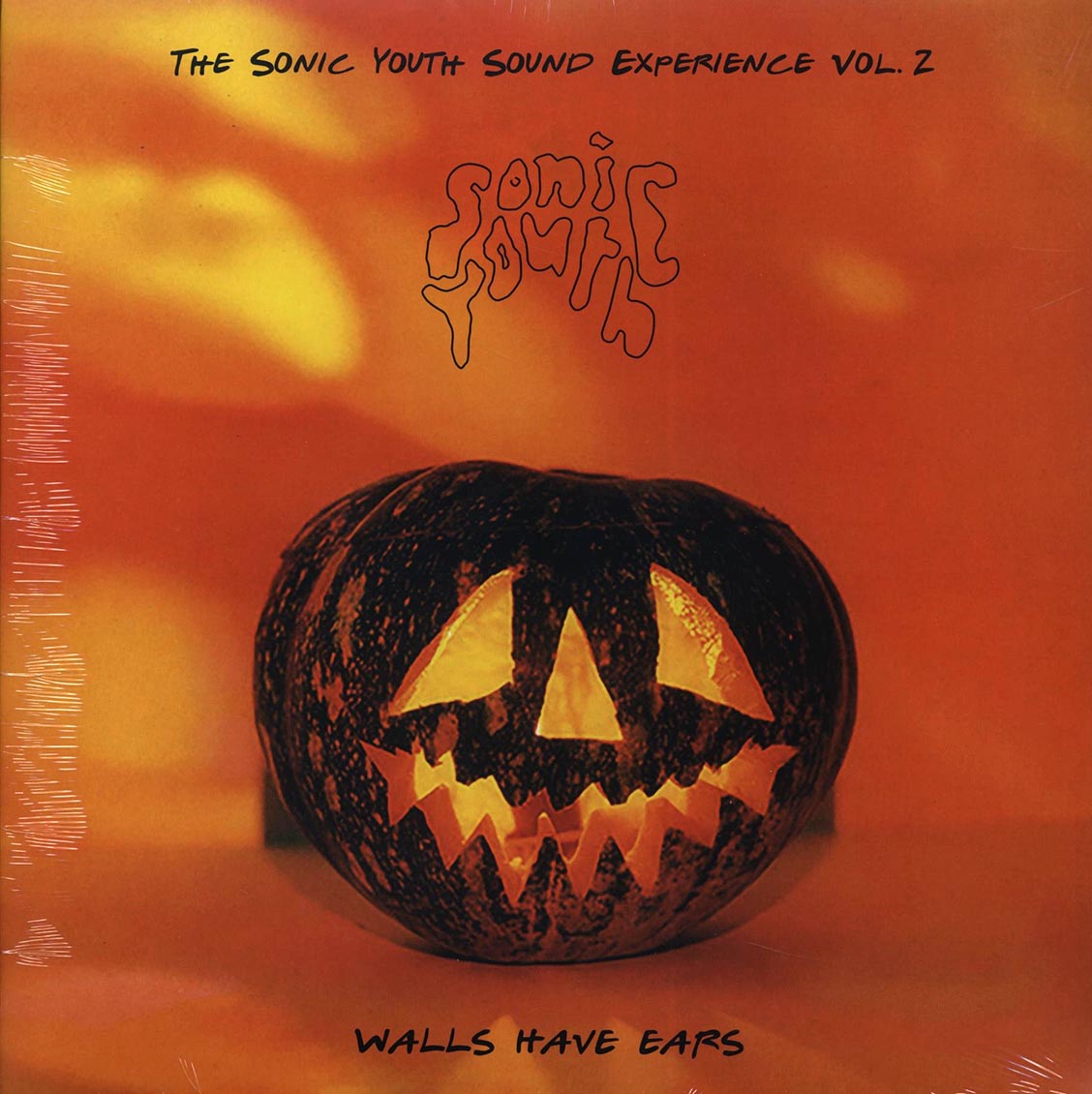Sonic Youth - Walls Have Ears Volume 2: The Sonic Youth Sound Experience - Vinyl LP