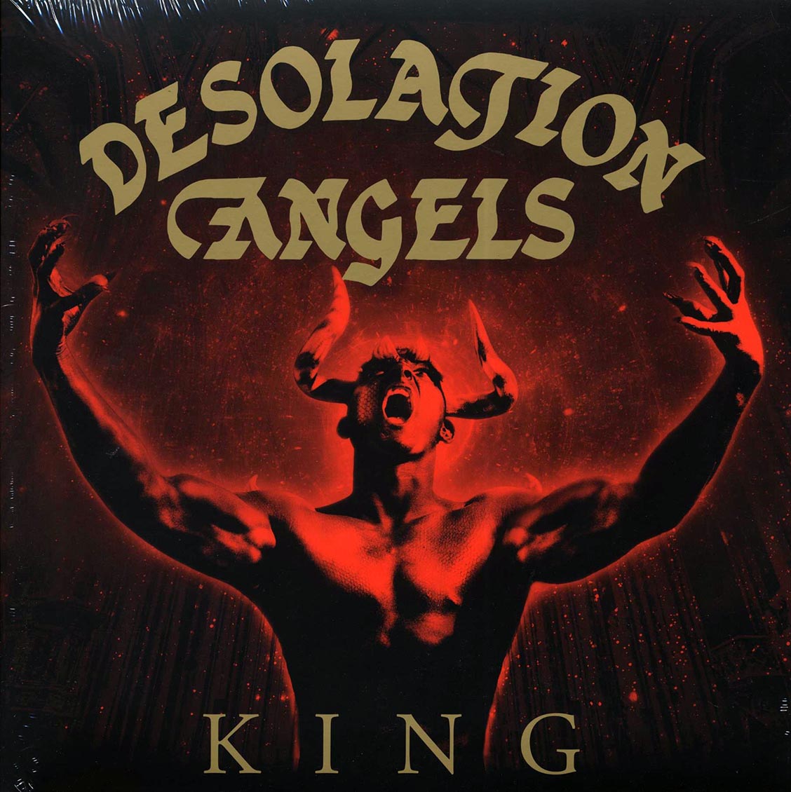 Desolation Angels - King - Vinyl LP