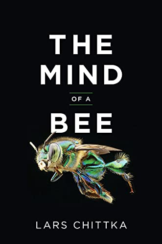The Mind of a Bee -- Lars Chittka, Hardcover