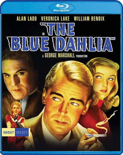 Blue Dahlia