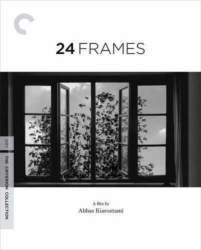 24 Frames/Bd