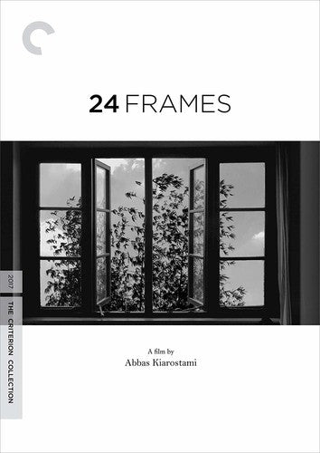 24 Frames/Dvd