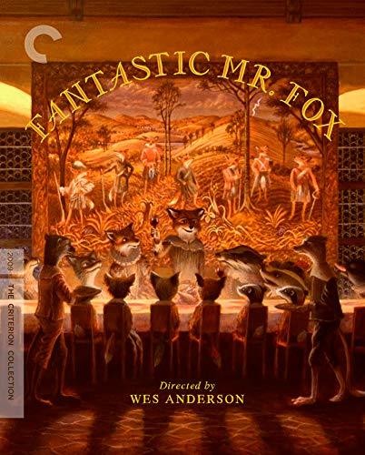 Fantastic Mr Fox/Dvd