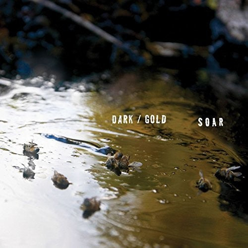 Dark / Gold