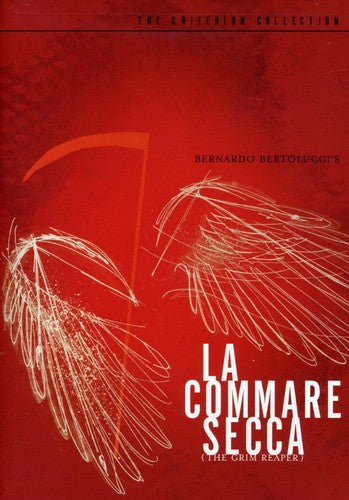 La Commare Secca/Dvd