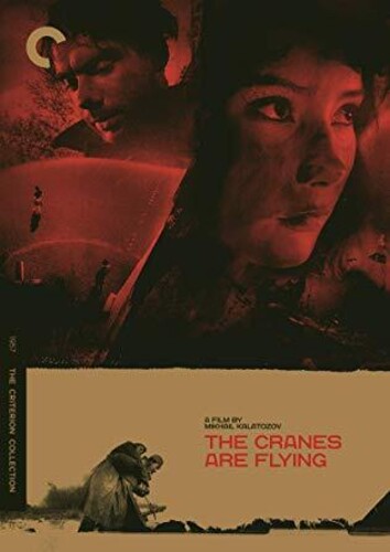 Cranes Are Flying, The Dvd