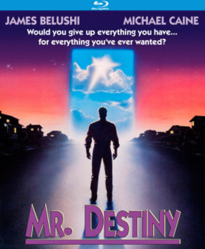 Mr Destiny (1990)