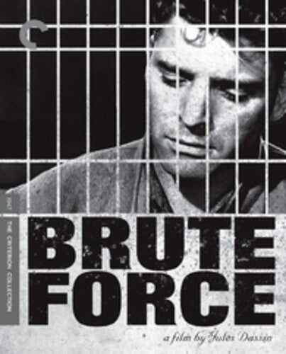 Brute Force Bd