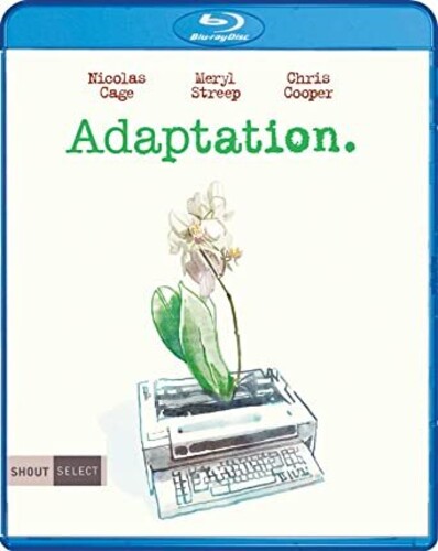 Adaptation