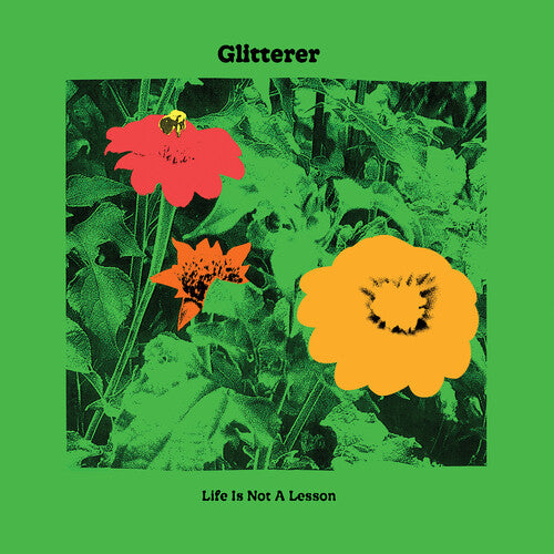 Life Is Not A Lesson - Green