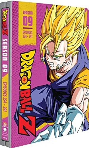 Dragon Ball Z - 4:3 - Season 9