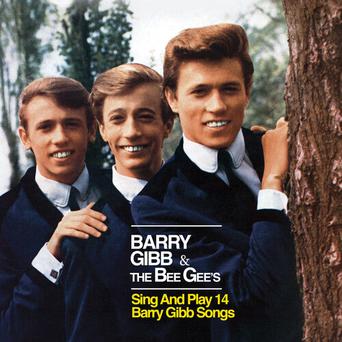 Barry Gibb & The Bee Gees Sing & Play 14