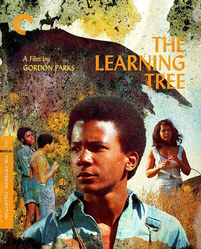 Learning Tree, The Dvd
