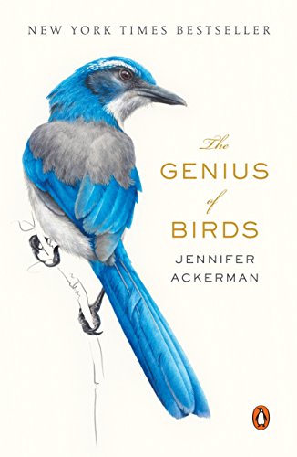 The Genius of Birds -- Jennifer Ackerman, Paperback