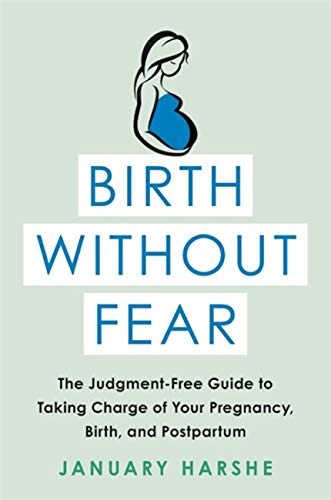 Birth Without Fear: The Judgment-Free Guide to Taking Charge of Your Pregnancy, Birth, and Postpartum -- January Harshe, Paperback