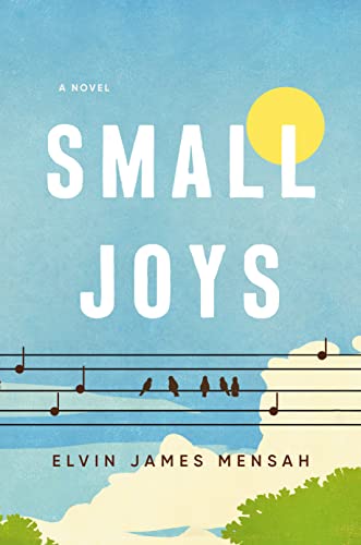 Small Joys -- Elvin James Mensah - Hardcover