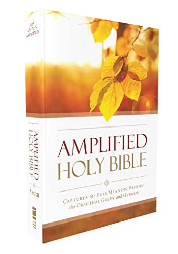 Amplified Outreach Bible, Paperback: Capture the Full Meaning Behind the Original Greek and Hebrew -- Zondervan, Bible