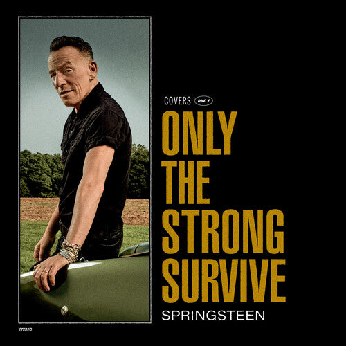 Only The Strong Survive, Bruce Springsteen, LP