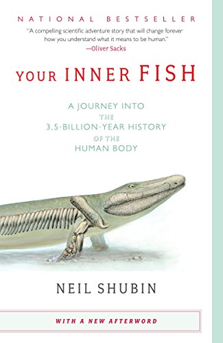 Your Inner Fish: A Journey Into the 3.5-Billion-Year History of the Human Body -- Neil Shubin - Paperback