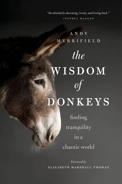 The Wisdom of Donkeys: Finding Tranquility in a Chaotic World -- Andy Merrifield, Paperback