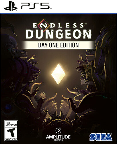 Ps5 Endless Dungeon