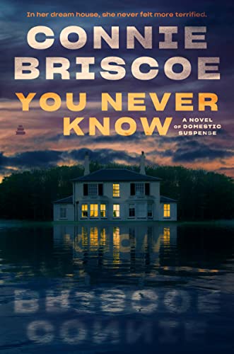 You Never Know: A Novel of Domestic Suspense -- Connie Briscoe - Hardcover
