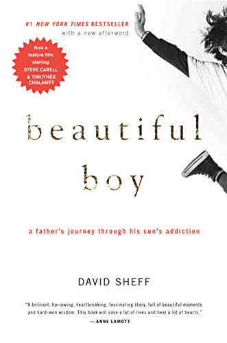 Beautiful Boy: A Father's Journey Through His Son's Addiction -- David Sheff, Paperback
