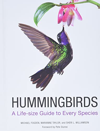 Hummingbirds: A Life-Size Guide to Every Species -- Michael Fogden, Hardcover