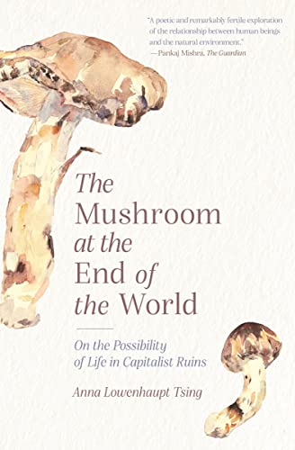 The Mushroom at the End of the World: On the Possibility of Life in Capitalist Ruins -- Anna Lowenhaupt Tsing - Paperback