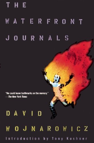 The Waterfront Journals -- David Wojnarowicz - Paperback