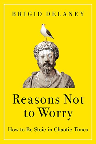 Reasons Not to Worry: How to Be Stoic in Chaotic Times -- Brigid Delaney, Hardcover