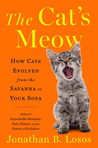 The Cat's Meow: How Cats Evolved from the Savanna to Your Sofa by Losos, Jonathan B.