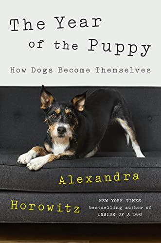 The Year of the Puppy: How Dogs Become Themselves -- Alexandra Horowitz, Hardcover