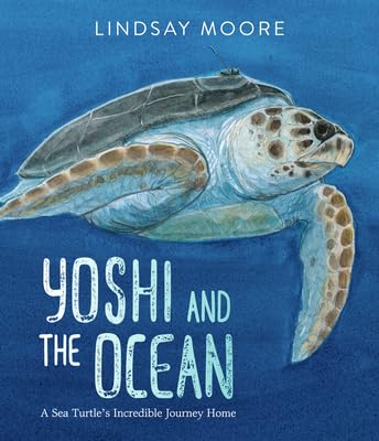 Yoshi and the Ocean: A Sea Turtle's Incredible Journey Home -- Lindsay Moore, Hardcover