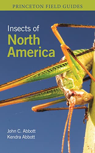 Insects of North America by Abbott, John C.