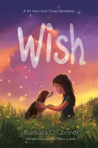 Wish -- Barbara O'Connor, Hardcover