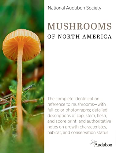 National Audubon Society Mushrooms of North America -- National Audubon Society, Hardcover