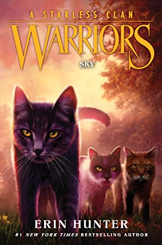 Warriors: A Starless Clan #2: Sky -- Erin Hunter, Hardcover
