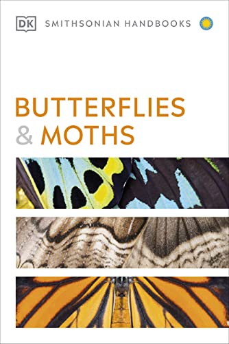 Butterflies and Moths by Carter, David