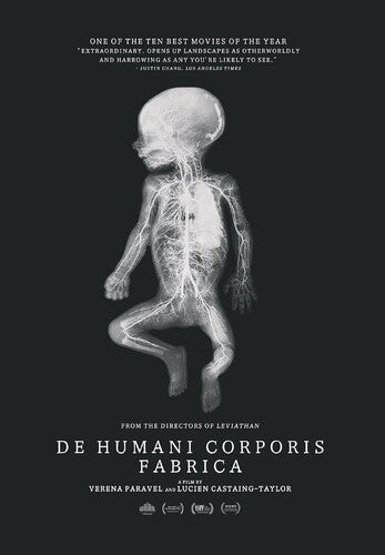 De Humani Corporis Fabrica