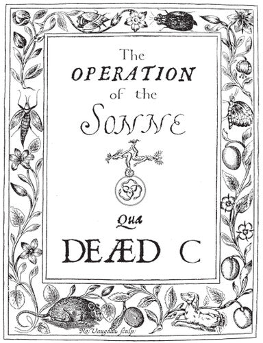 Operation Of The Sonne