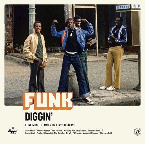 Funk Diggin / Various