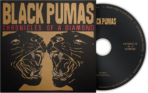 Chronicles Of A Diamond, Black Pumas, CD